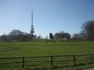 Bild 112